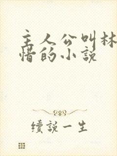 主人公叫林凡叶惜的小说封面