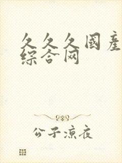 久久久国产精品综合网