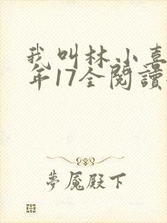 我叫林小喜,今年17全阅读全文txt封面