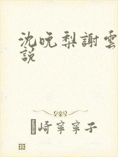 沈晚梨谢云迟小说