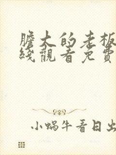 胆大的老板娘在线观看免费版电视剧