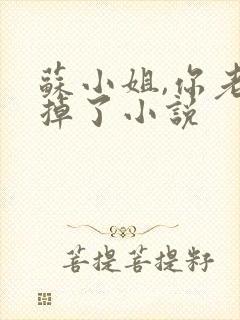 苏小姐,你老公掉了小说