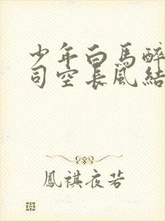 少年白马醉春风司空长风结局