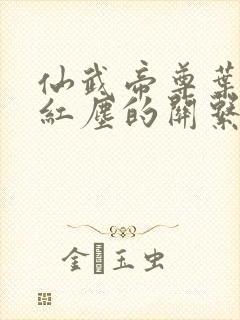 仙武帝尊叶辰与红尘的关系