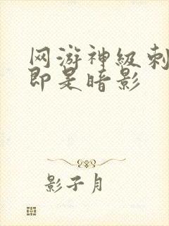 网游神级刺客我即是暗影封面