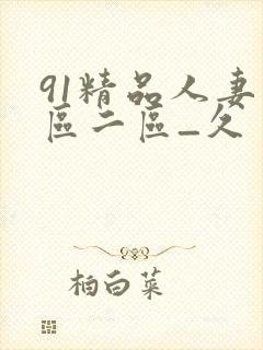 91精品人妻一区二区_久