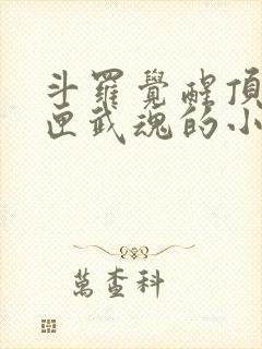 斗罗觉醒顶级剑匣武魂的小说