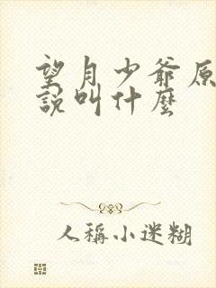 望月少爷原著小说叫什么