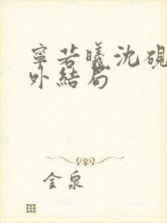 宁若曦沈砚舟番外结局封面