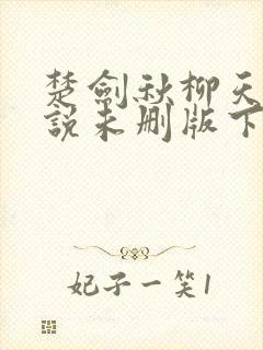 楚剑秋柳天瑶小说未删版下载txt