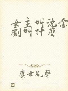 女主叫沈念的短剧叫什么