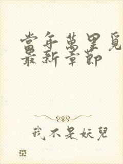 当年万里觅封侯最新章节