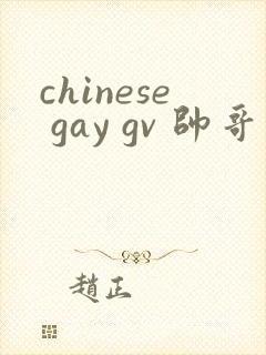 chinese gay gv 帅哥