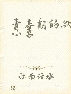 青春期的欲望林小喜封面
