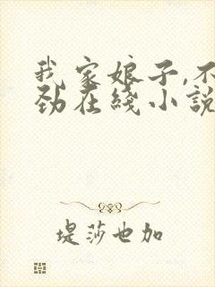 我家娘子,不对劲在线小说免费