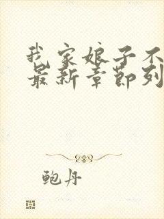 我家娘子不对劲最新章节列表免费