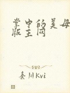 掌中的美母第一版主网封面