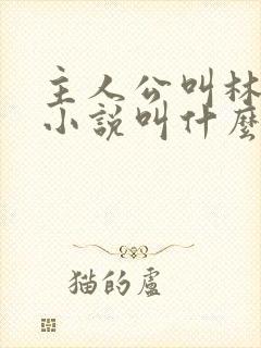 主人公叫林峰的小说叫什么名字