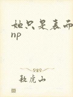 她只是表面清纯np