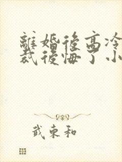 离婚后高冷女总裁后悔了小说阅读