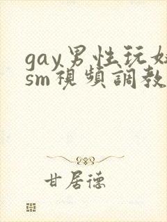gay男性玩奴sm视频调教