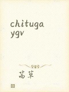 chitugaygv封面