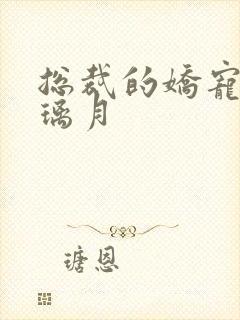 总裁的娇宠妻沈璃月