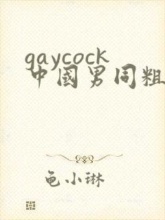 gaycock中国男同粗口调教