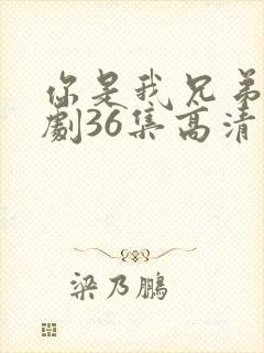 你是我兄弟电视剧36集高清完整版