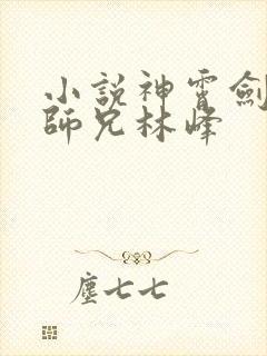 小说神霄剑宗大师兄林峰