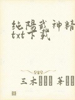 纯阳武神精校版txt下载