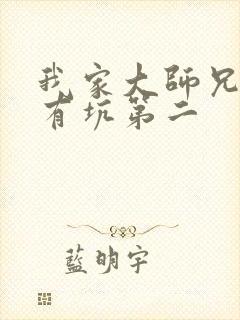 我家大师兄脑子有坑第二