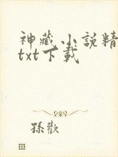 神藏小说精校版txt下载