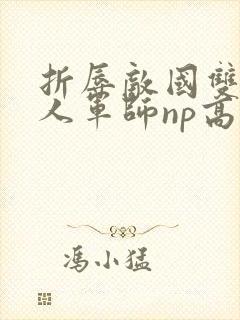 折辱敌国双性美人军师np高h