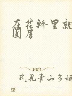 在花轿里就开始圆房