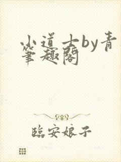 小道士by青灯笔趣阁