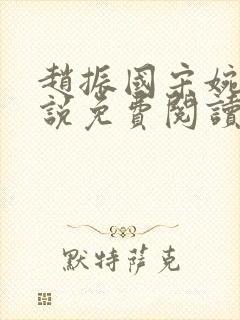 赵振国宋婉清小说免费阅读全文封面