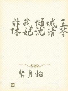 非我倾城王爷要休妃沈清苓结局封面