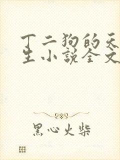 丁二狗的天梯人生小说全文免费阅读