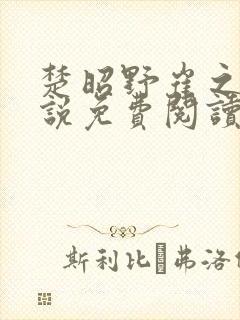 楚昭野崔之棠小说免费阅读最新章节