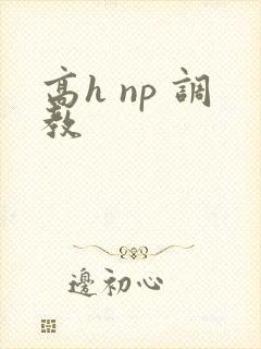 高h np 调教