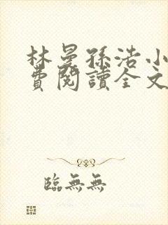 林曼孙浩小说免费阅读全文最新章节