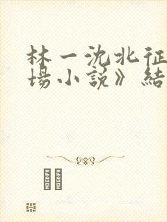 林一沈北征《官场小说》结局