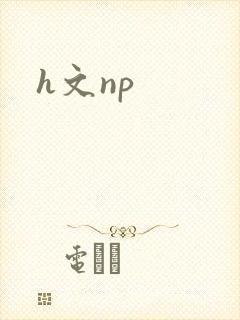 h文np封面