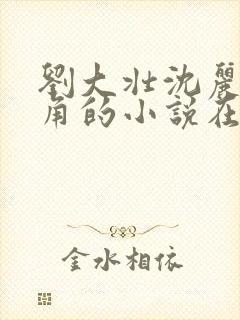 刘大壮沈丽娟主角的小说在线阅读封面