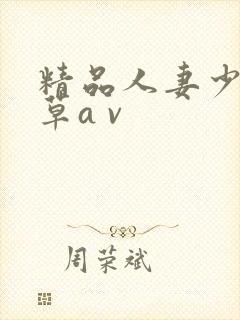 精品人妻少妇嫩草a v