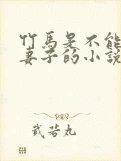 竹马是不能成为妻子的小说免费阅读