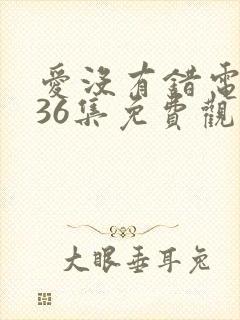 爱没有错电视剧36集免费观看剧情