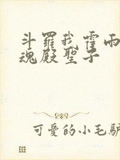 斗罗我霍雨浩武魂殿圣子