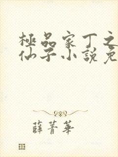 极品家丁之炮轰仙子小说免费阅读封面